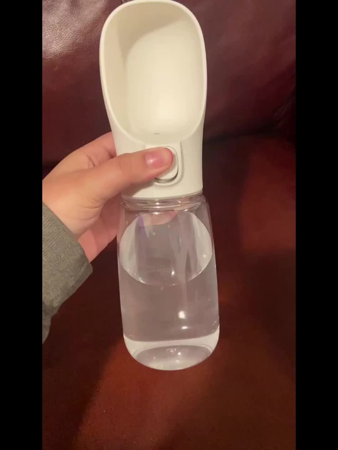 Travel-Ready Dog Water Bottle